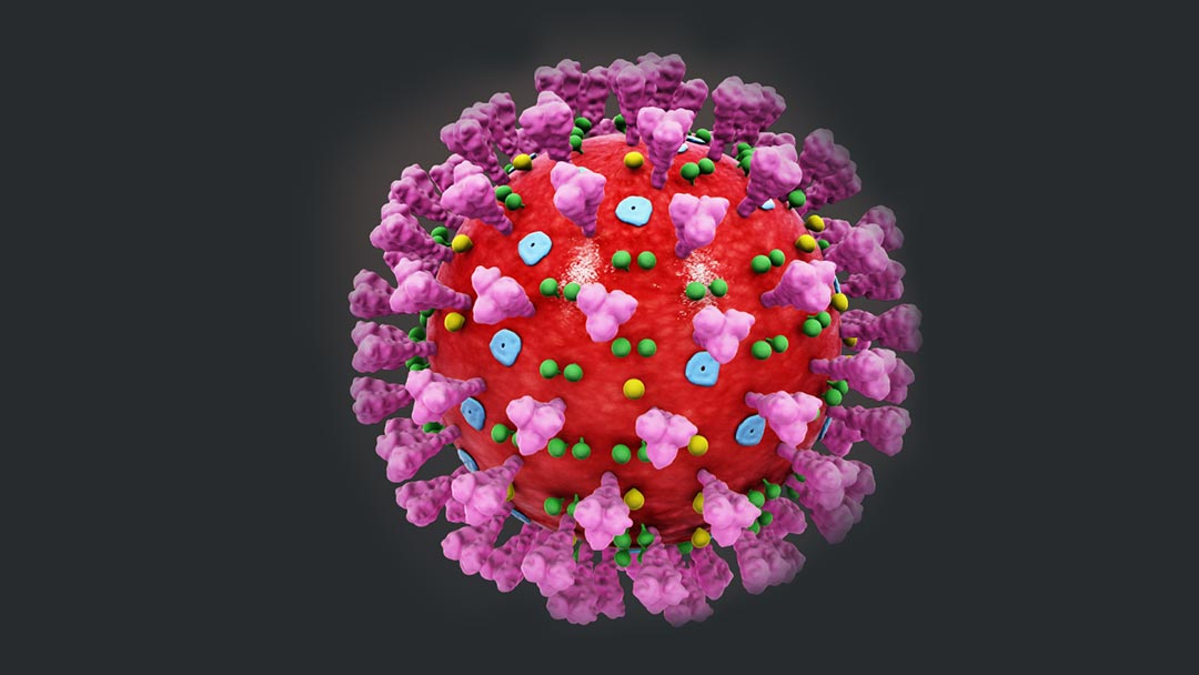 Coronavirus : les réponses à vos questions