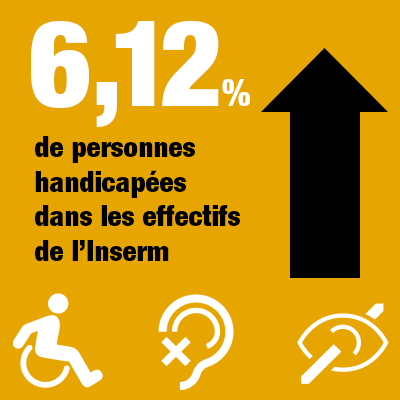 6​,12 % de personnes handicapées dans les effectifs de l’Inserm
