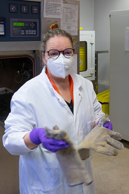 Femme vêtue d'une blouse d'un masque et de gants tenant dans ses mains une seconde paire de gants plus épais.