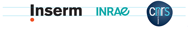 Exemple de positionnement du logo de l’Inserm et de deux partenaires