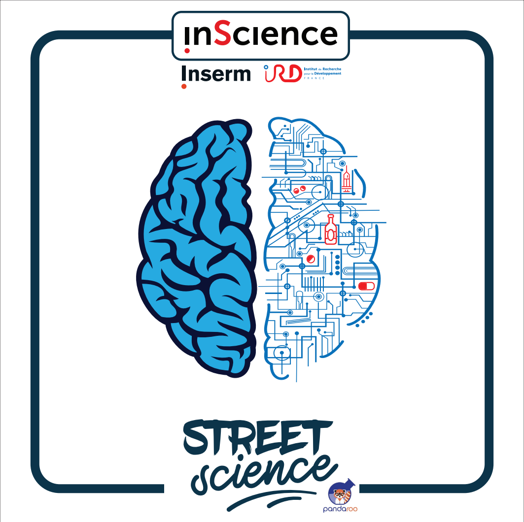« Promenade de santé » : un nouveau parcours scientifique Street Science