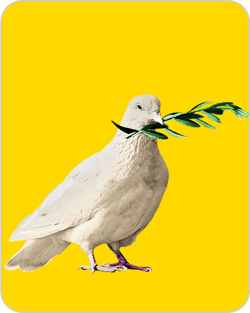 Oiseau blanc tenant une branche dans son bec (sur fond jaune).