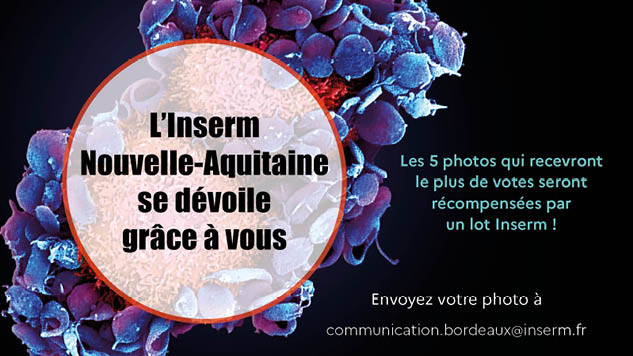 Concours photo « L’Inserm Nouvelle-Aquitaine se dévoile grâce à vous »