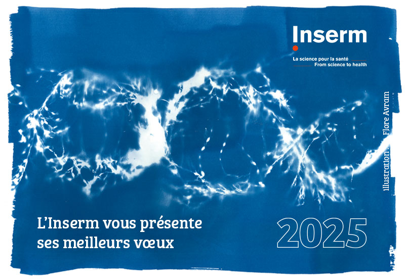 Meilleurs voeux 2025