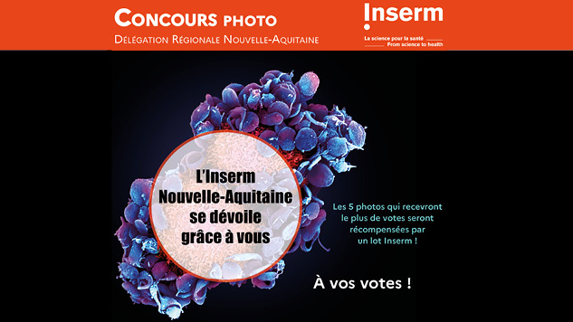 Concours photo « L’Inserm Nouvelle-Aquitaine se dévoile grâce à vous » : À vos votes !